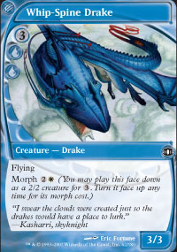 Whip-Spine Drake