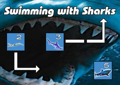 Swimming with Sharks