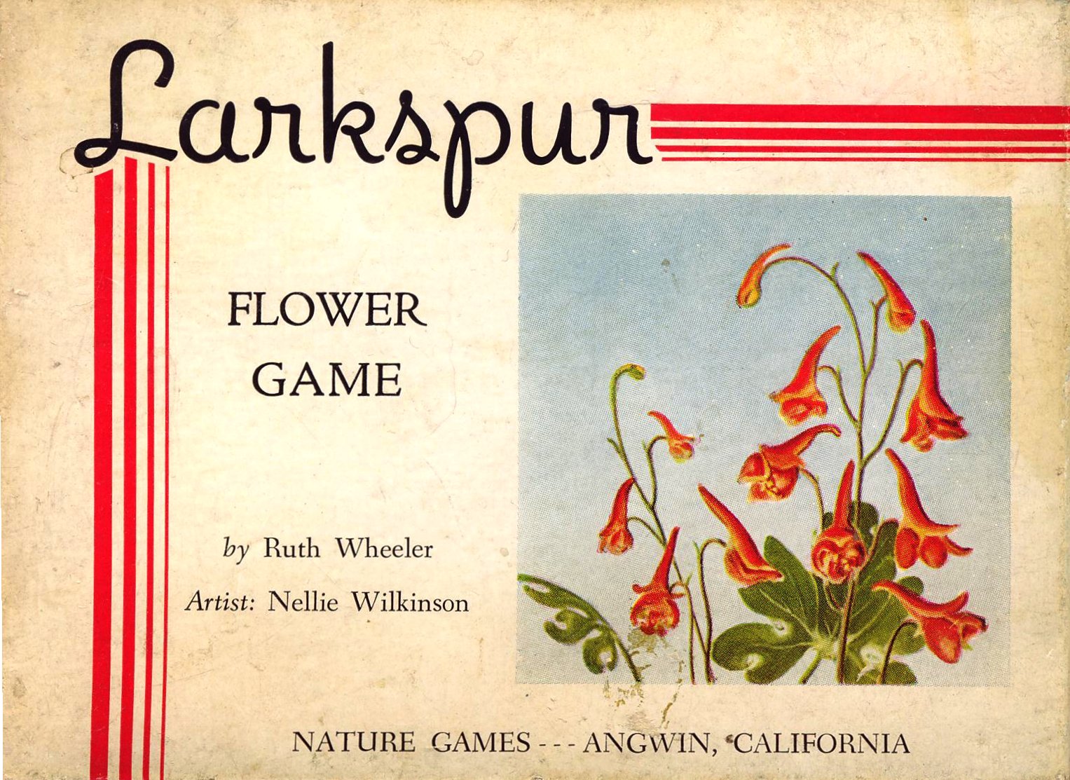 Larkspur