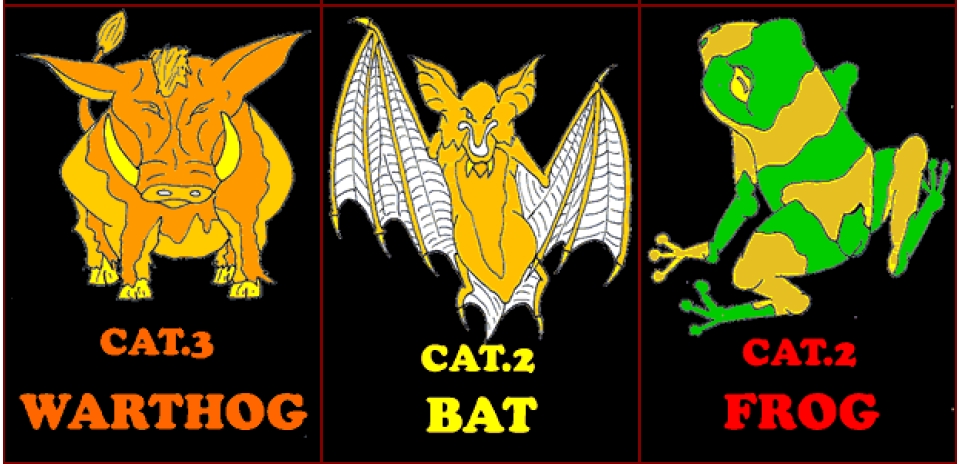 Witches and Wizards