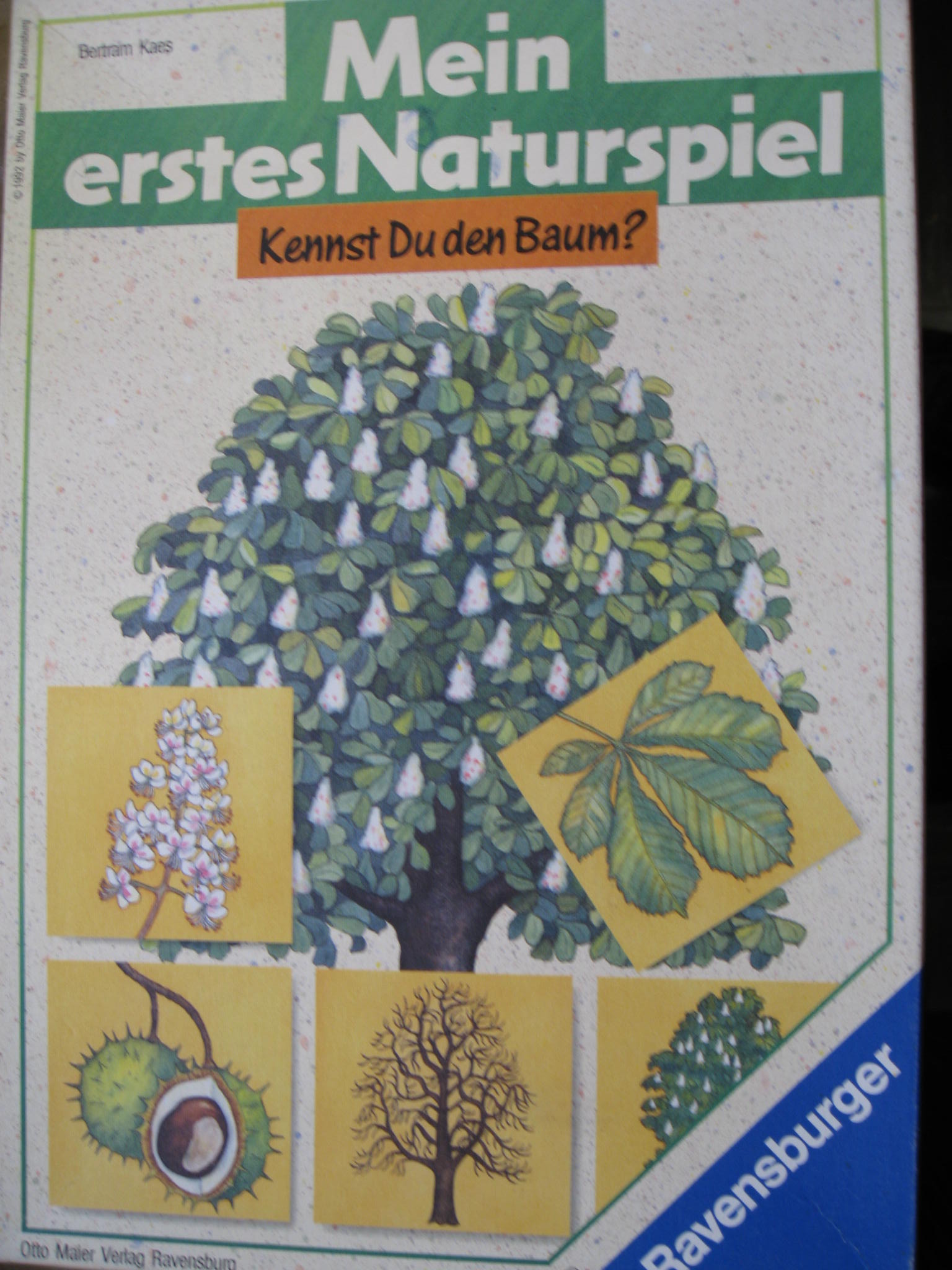 Mein erstes Naturspiel: Kennst Du den Baum?