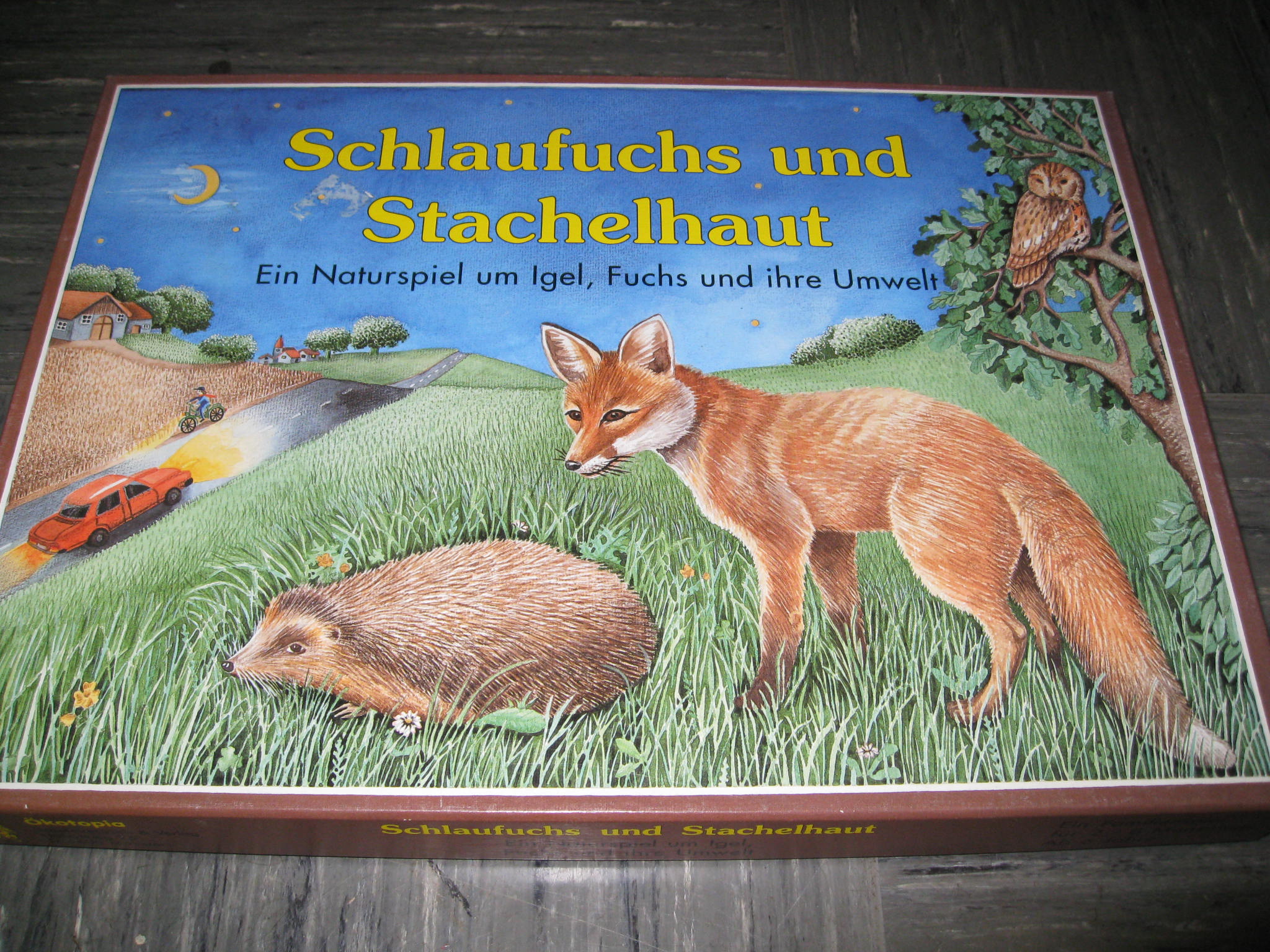Schlaufuchs und Stachelhaut