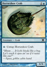 Horseshoe Crab