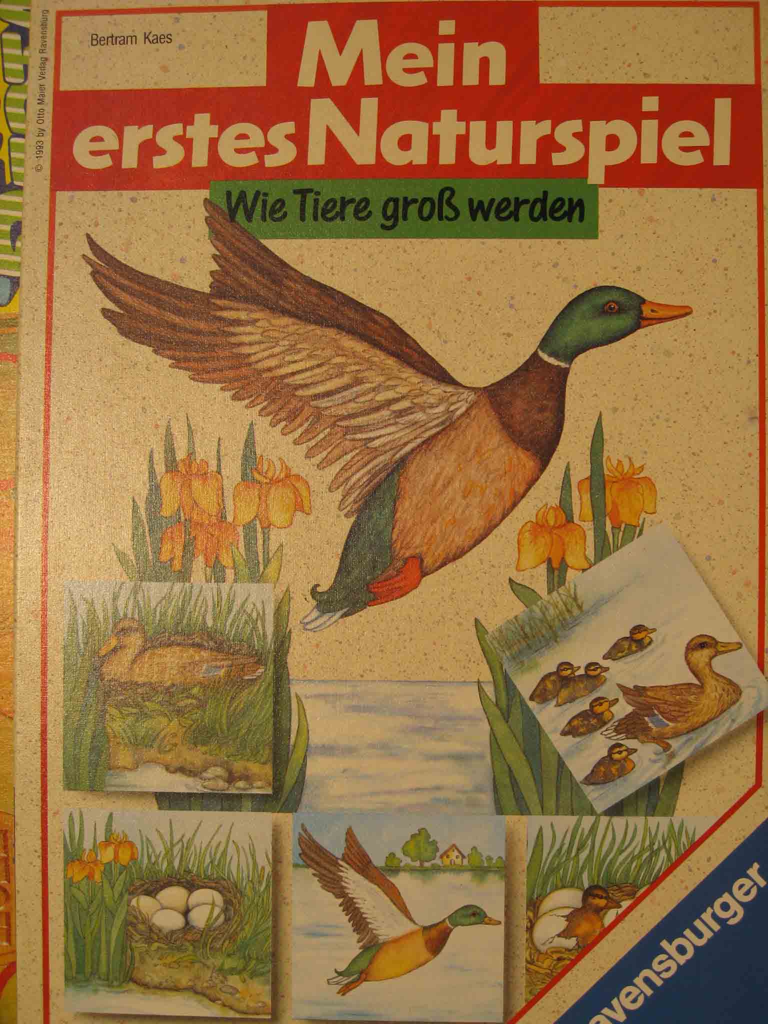 Mein erstes Naturspiel - Wie Tiere groß werden