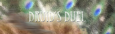 Druids Duel Druids Duel