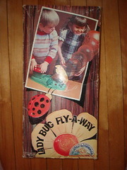Lady Bug Fly-a-Way