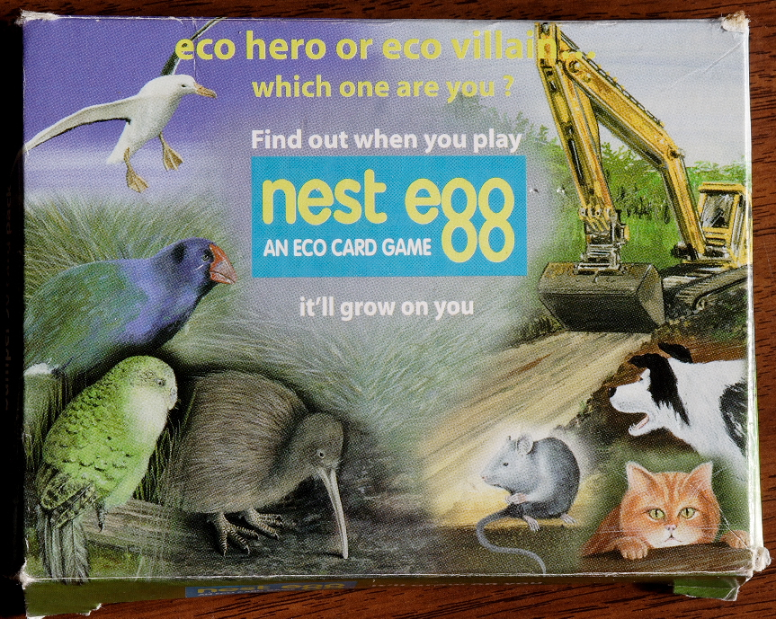 Nest Egg Nest Egg