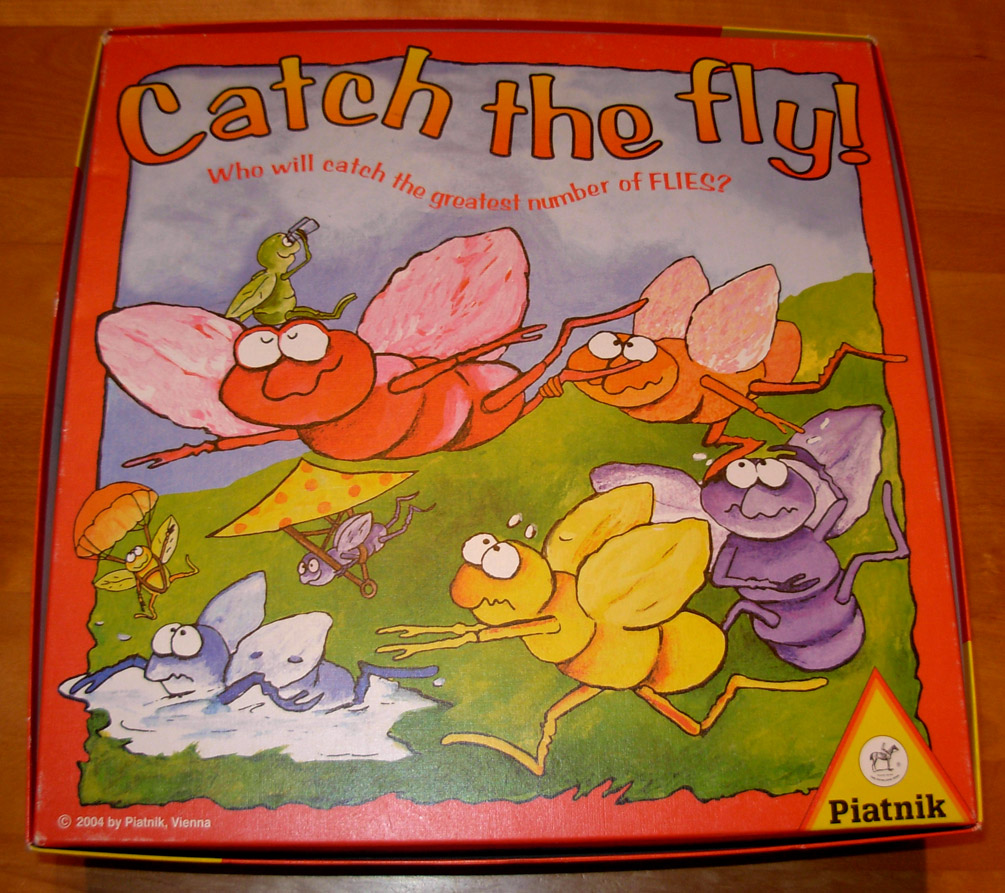 Catch the Fly!