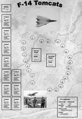F-14 Tomcats