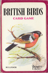 British Birds