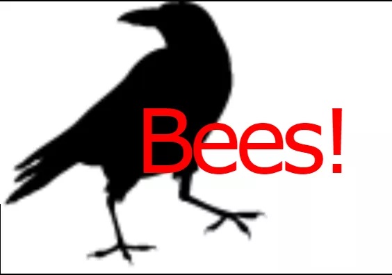Bees!