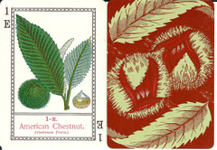 Chestnut Burrs