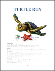 Turtle Run