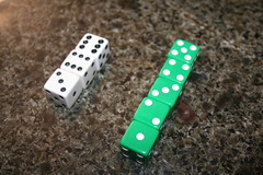 Dicer's Secret