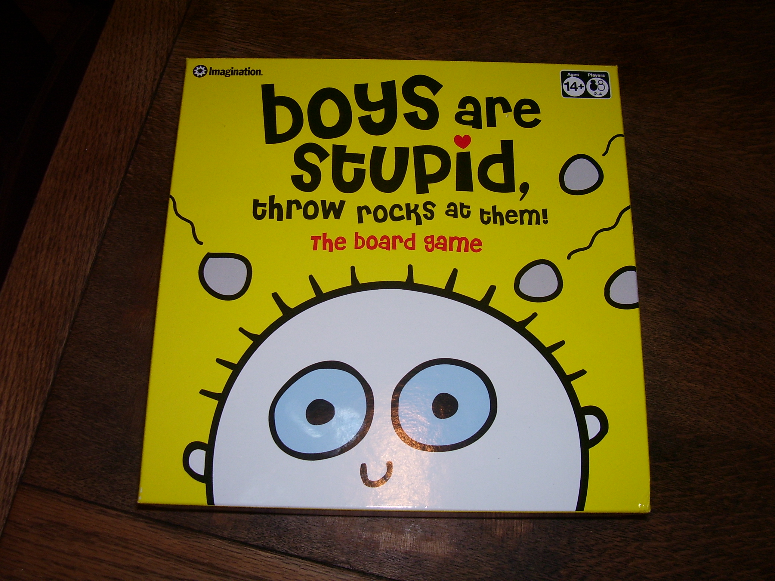 Boys are Stupid, Throw Rocks at Them!