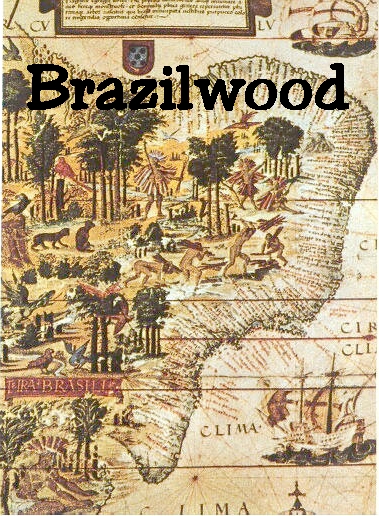 Brazilwood