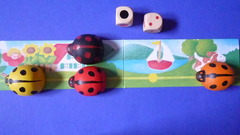 Derby