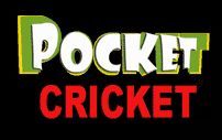 Pocket Cricket