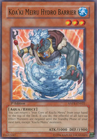 Koaki Meiru Hydro Barrier - ANPR-EN022 - Common - 1st Edition