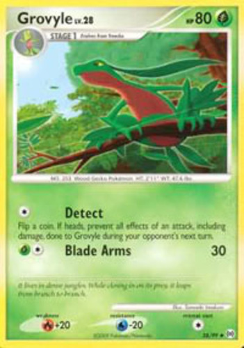 Grovyle_5083
