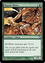 Muscle Sliver - Foil