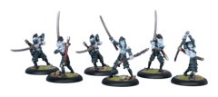 Blighted Swordsmen Unit