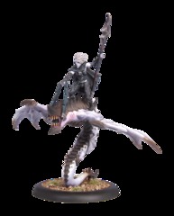 PIP73037 HRD LoE Blighted Nyss Sorceress Hellion Blister