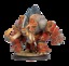 Titan Bronzeback