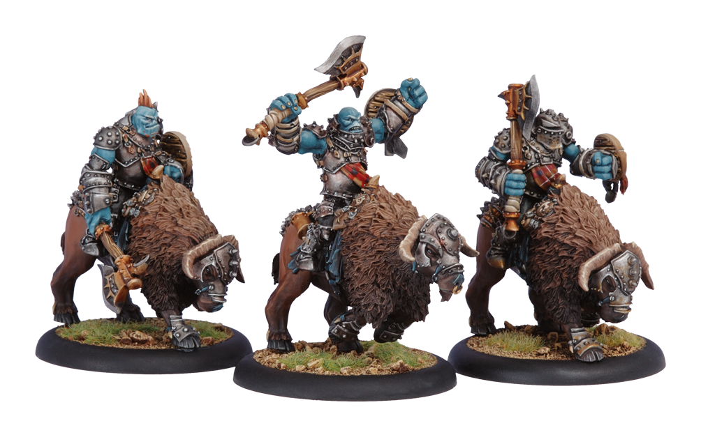 Long Riders Unit