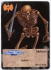 Skeleton
