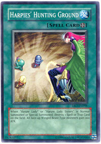 Harpies Hunting Ground - DR3-EN098 - Common - Unlimited Edition