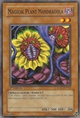 Magical Plant Mandragola - SDSC-EN012 - Common - 1st Edition