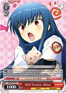 MAX Tension, Shiina - AB/W31-E114 - C