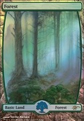 Forest - Full Art - Foil DCI Judge Promo