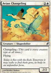 Avian Changeling