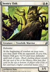 Sentry Oak