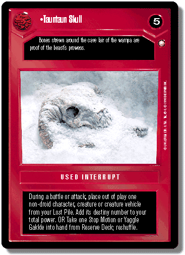Tauntaun Skull