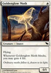 Goldenglow Moth