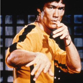 Max Protection Bruce Lee Standard Sleeves