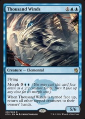 Thousand Winds - Foil