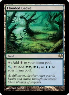 Flooded Grove