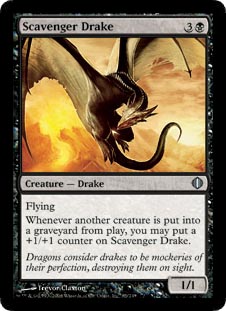 Scavenger Drake