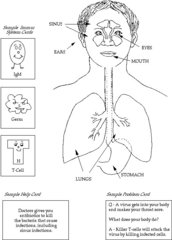 My Immune System