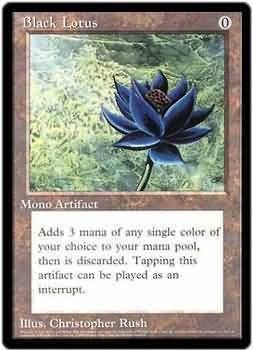 Oversized - Black Lotus