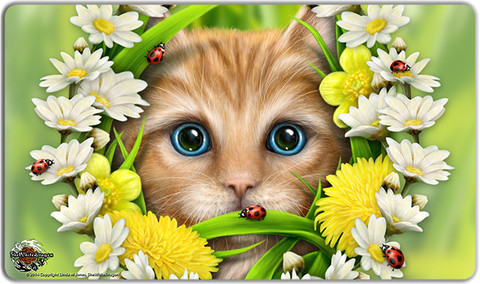 Summer Cat