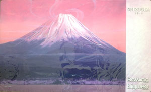 Grand Prix Shizuoka 2014 Playmat (MTG)