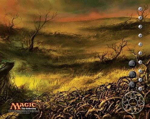 Shadowmoor Plains (284) Playmat (MTG)