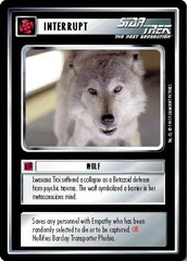 Wolf