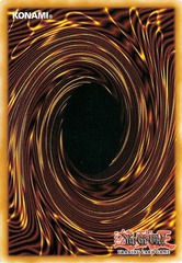 Yu-Gi-Oh! - Tournament Ready Dark World Deck