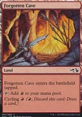 Forgotten Cave - Anthology Printing